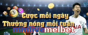 mmlivemelbet
